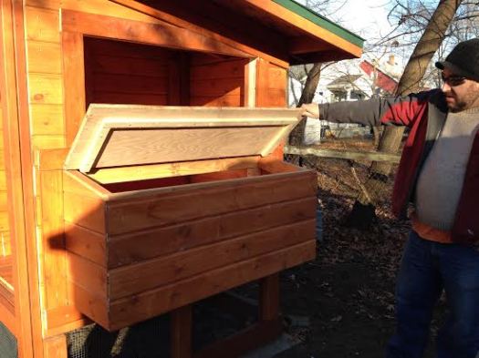 Matt lifts the lid of the nesting box. This is where we will collect the eggs.