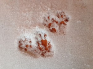 A close look at the evidence.