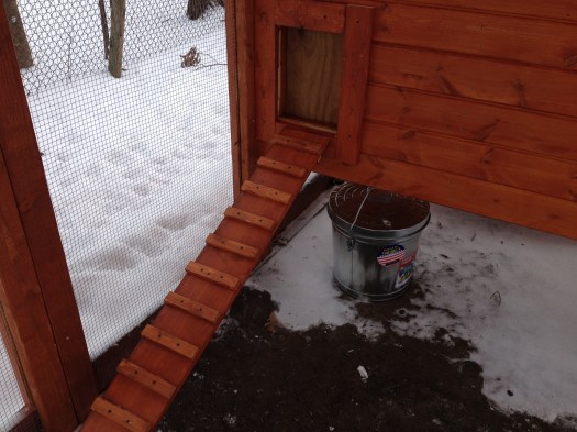A view of the ramp leading up to the chicken door. We will attach a string to the top of the sliding door so we can lift and lower it every day.