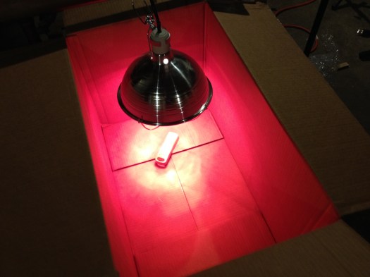 The heat lamp proved, umm, too hot in my brooder experiment.