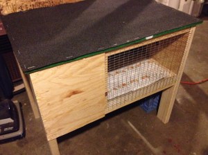 The rabbit-hutch-turned-brooder.