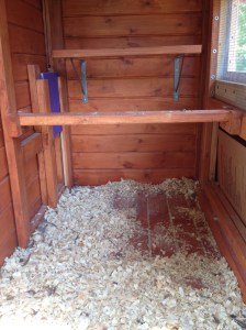 Judging from the soiled bedding that was removed, you can see where the girls prefer to perch.