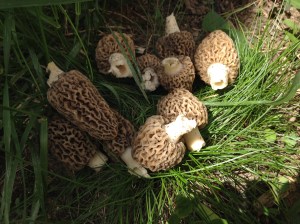 This was our take from the side of the house!