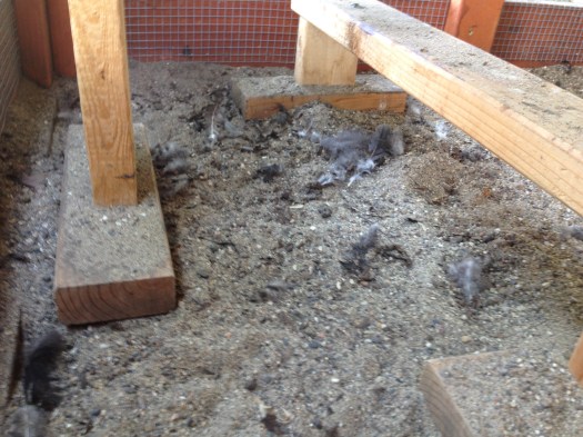 This is where all the cool girls hang out. Due to its high traffic, this corner gets dirty quick.