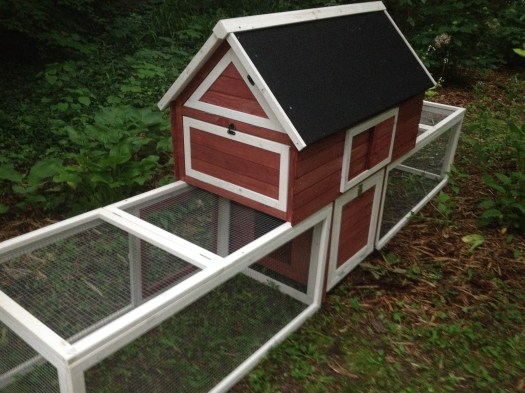 small red chicken coop.